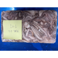 Tubi di calamari congelati e tentacoli Illex Argentinus